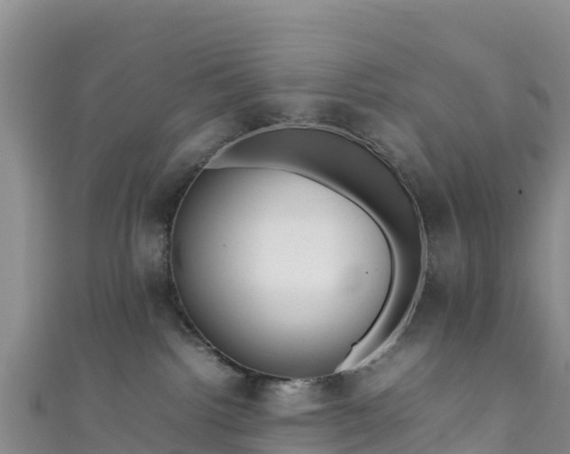 X0000111190092200907081305