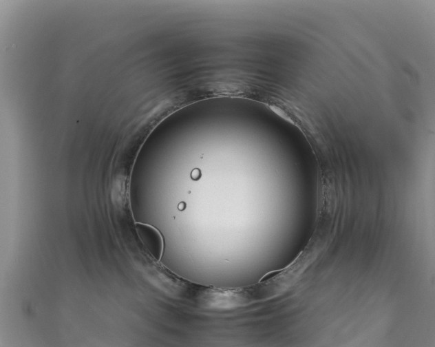 X0000111190093200907081305