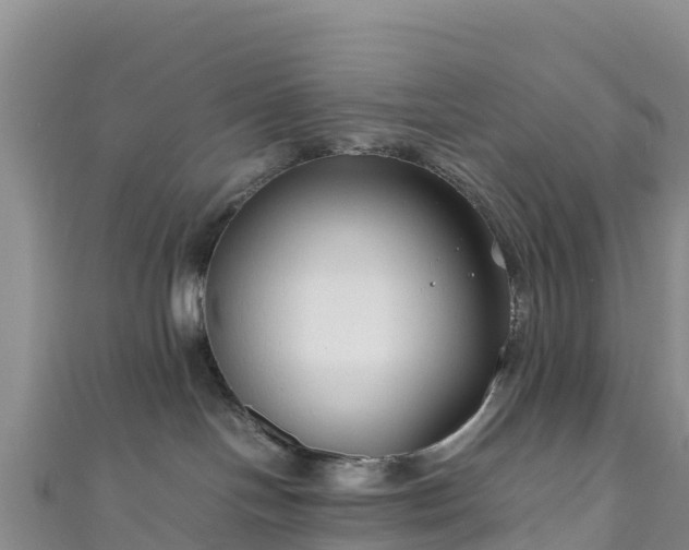 X0000111190094200907081305