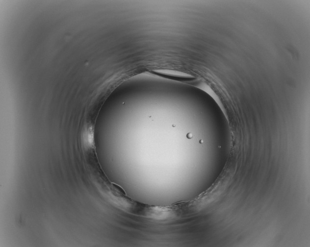 X0000111190095200907081305