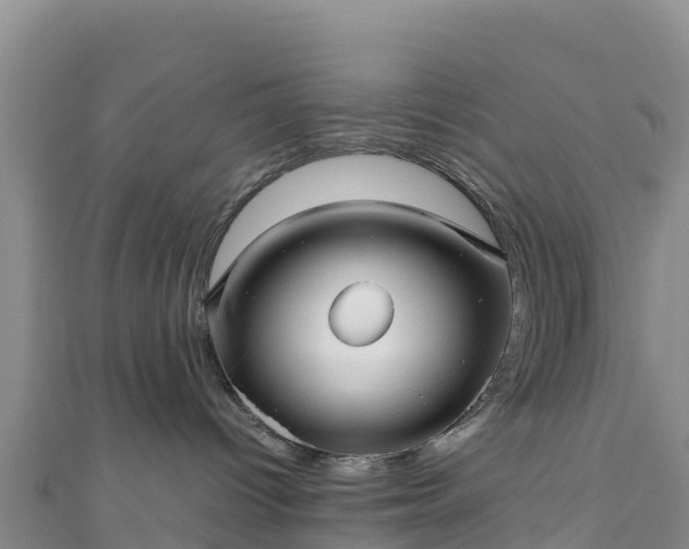 X0000111190096200907081305