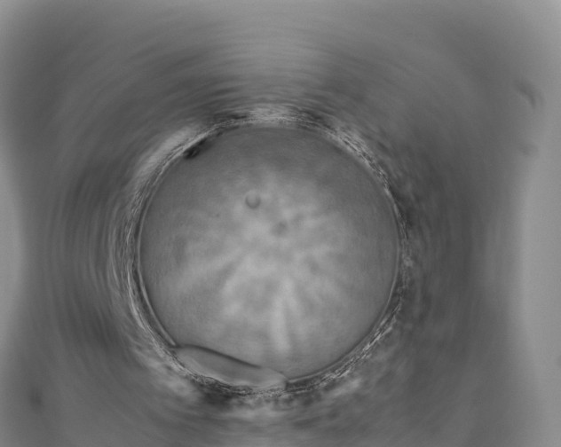 X0000111190097200907081304