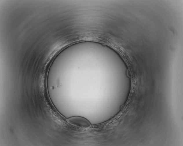 X0000111190098200907081304