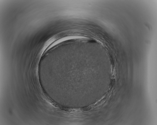 X0000111190099200907081304