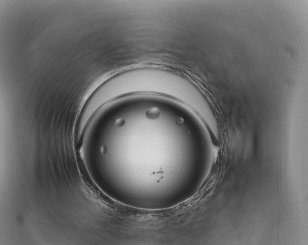 X0000111190100200907081304