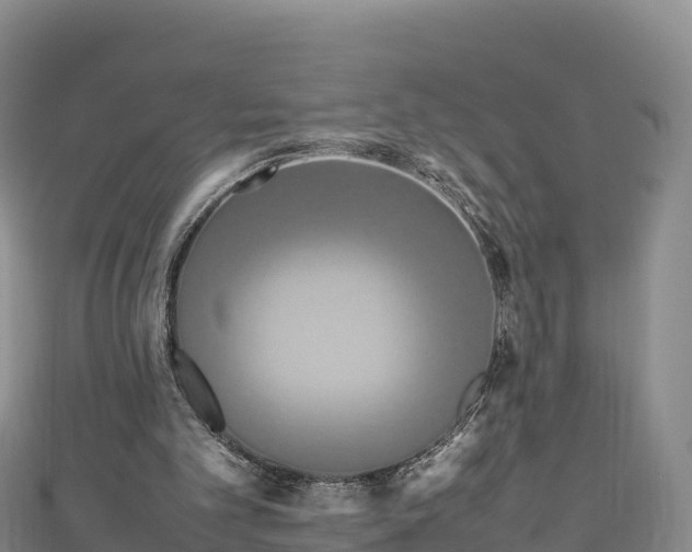 X0000111190101200907081304