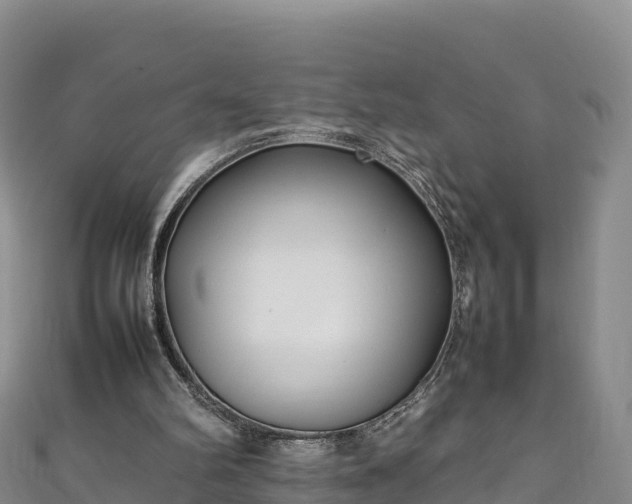 X0000111190102200907081304