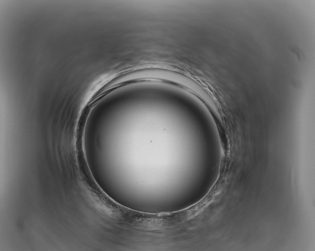 X0000111190104200907081304