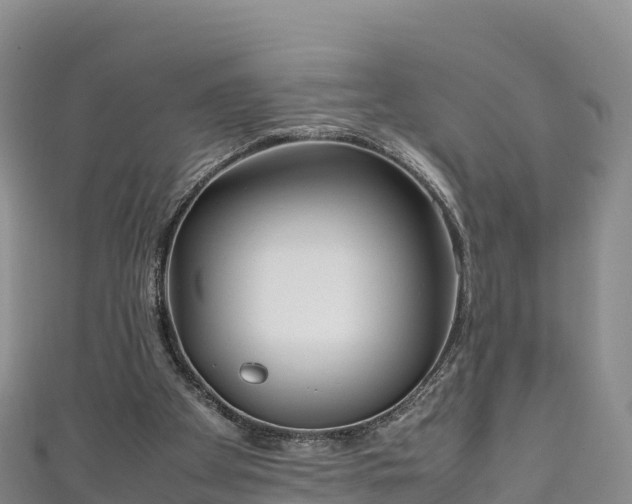 X0000111190105200907081304