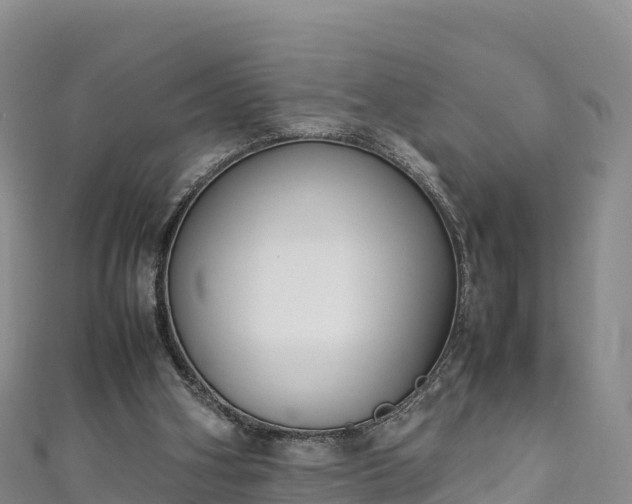 X0000111190106200907081304