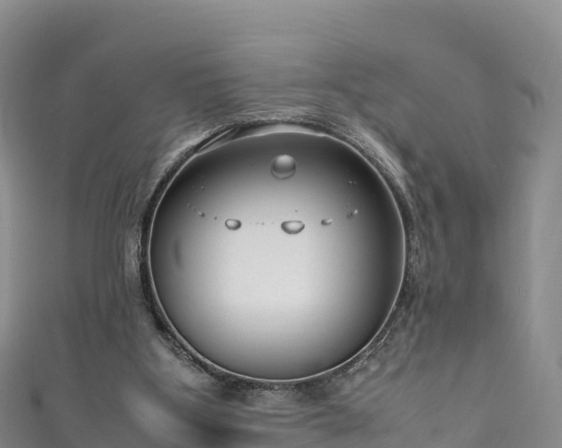 X0000111190107200907081304