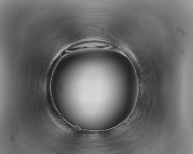 X0000111190108200907081304