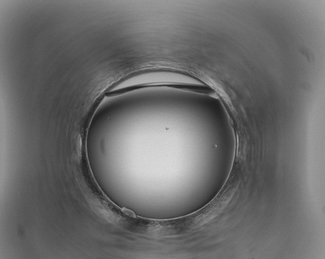 X0000111190109200907081304