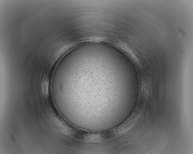 X0000111190110200907081304