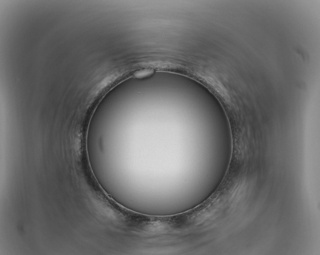 X0000111190111200907081304