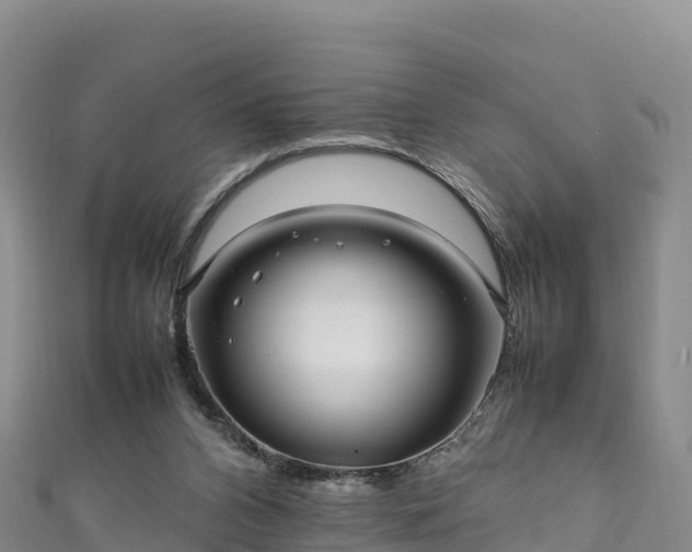 X0000111190112200907081304