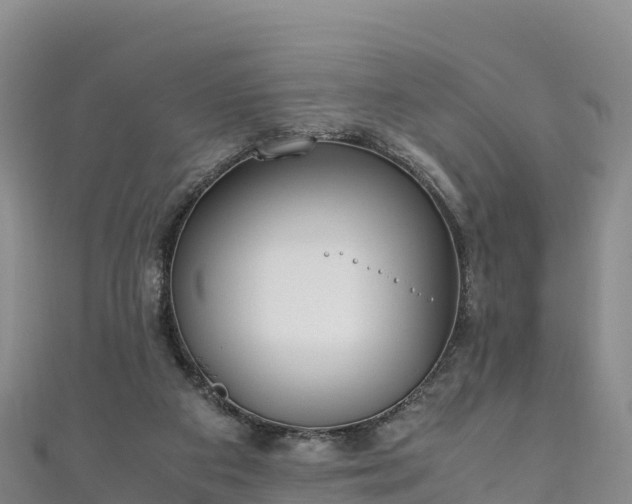 X0000111190113200907081304