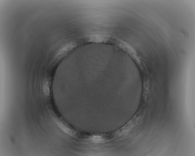 X0000111190114200907081304