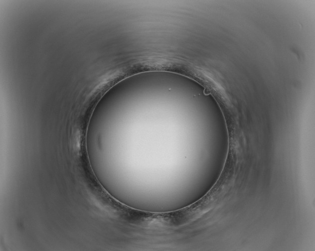 X0000111190115200907081304