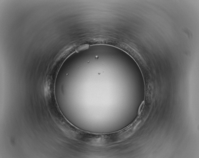 X0000111190116200907081304