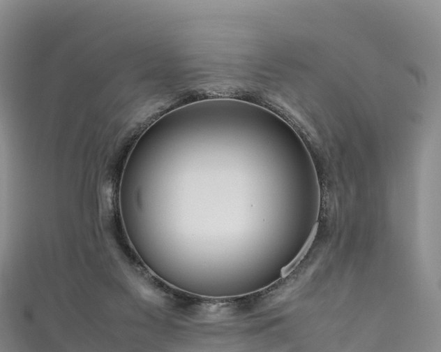 X0000111190117200907081304