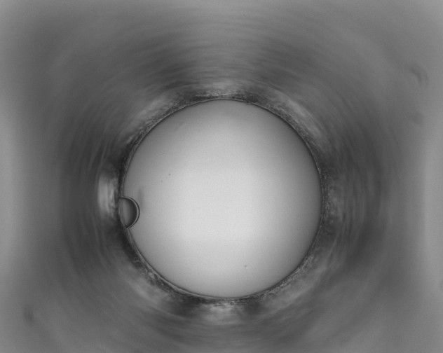 X0000111190118200907081304