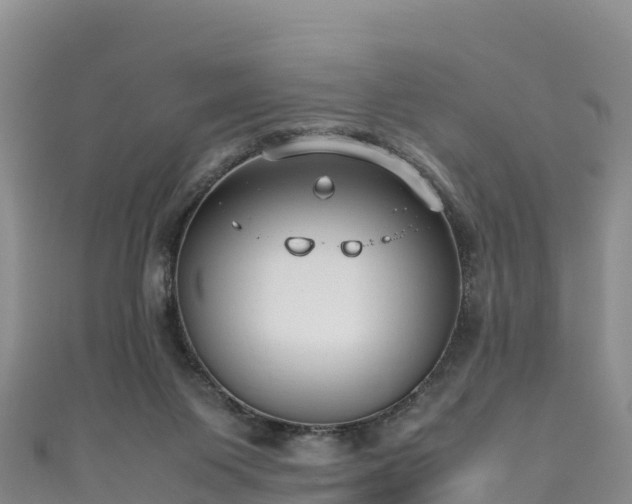 X0000111190119200907081304