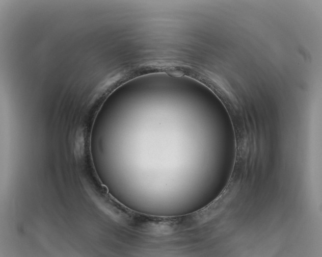 X0000111190120200907081304