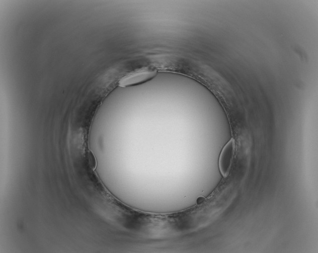 X0000111190121200907081304