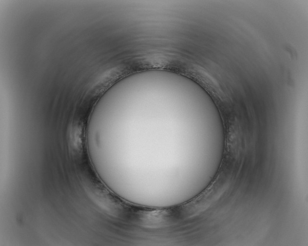 X0000111190122200907081304