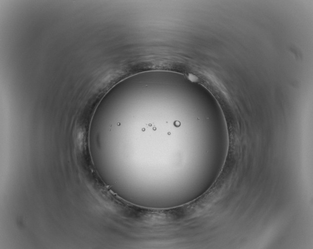 X0000111190123200907081304