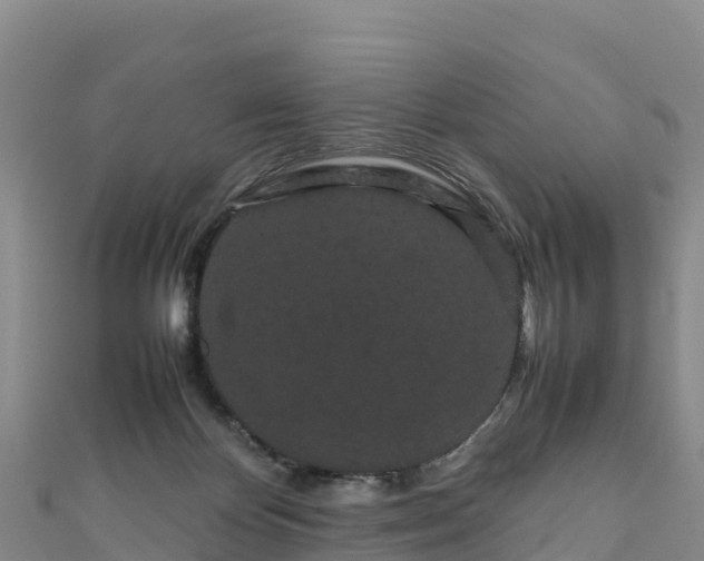 X0000111190124200907081304