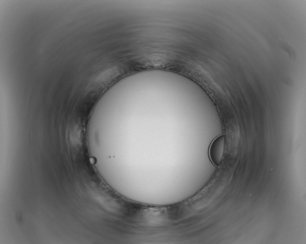 X0000111190126200907081304