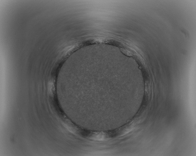 X0000111190127200907081304