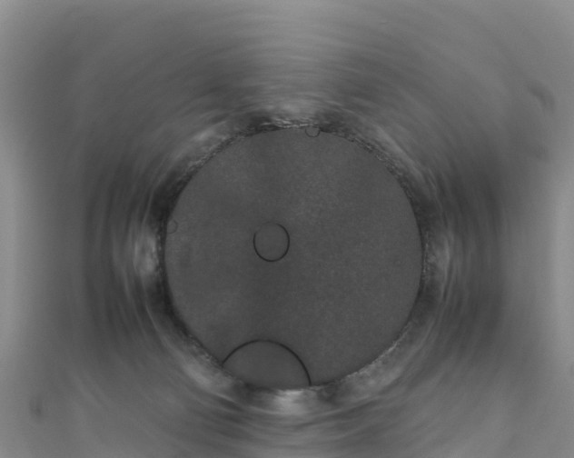 X0000111190130200907081304