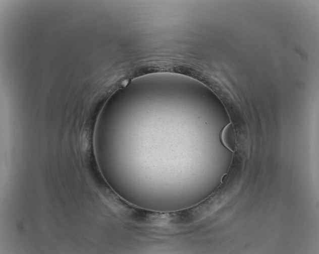 X0000111190131200907081304