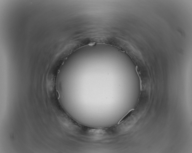 X0000111190133200907081304