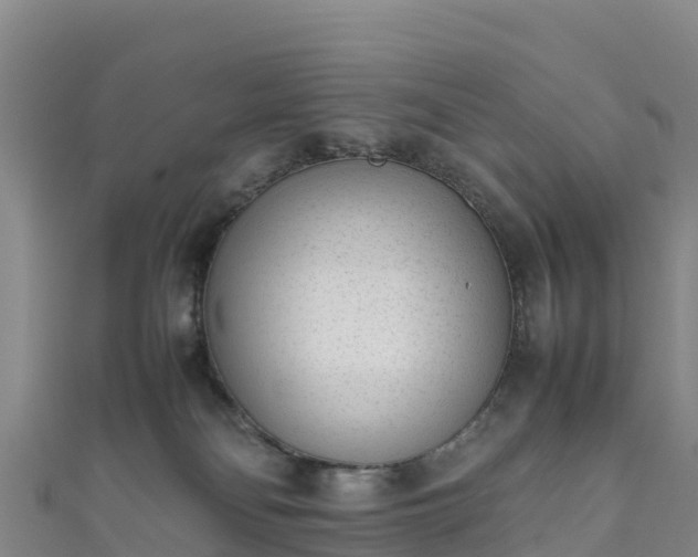 X0000111190134200907081304