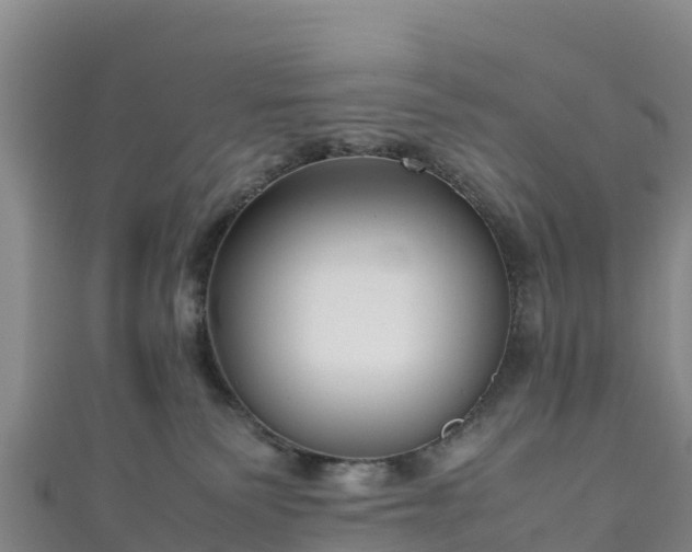 X0000111190135200907081304