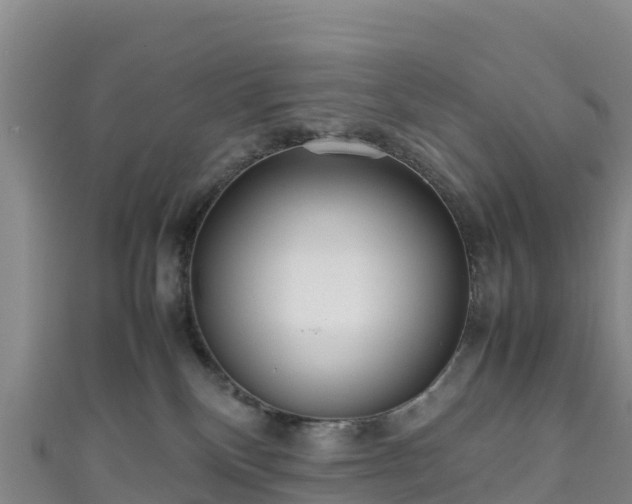 X0000111190136200907081304