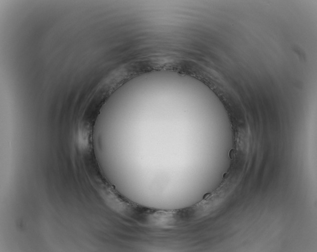 X0000111190138200907081304