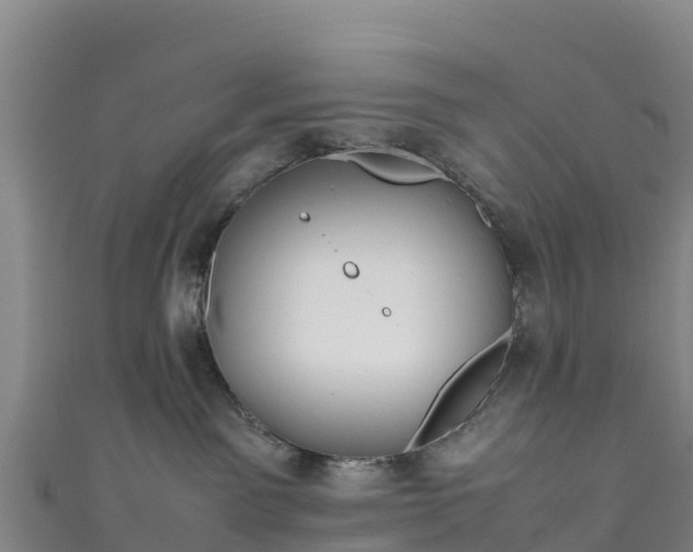 X0000111190141200907081304