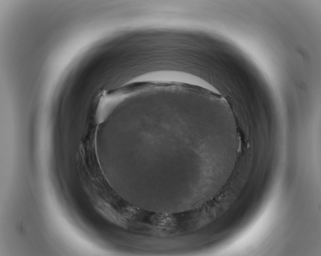 X0000111190143200907081304