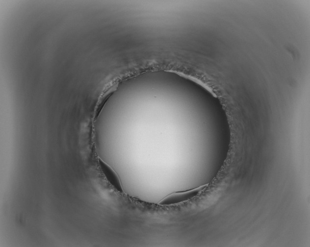 X0000111190144200907081303