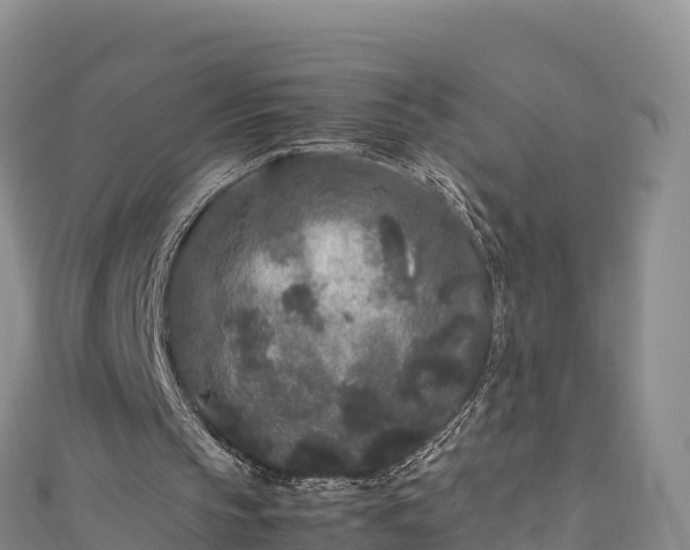 X0000111190145200907081303