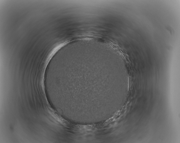 X0000111190147200907081303