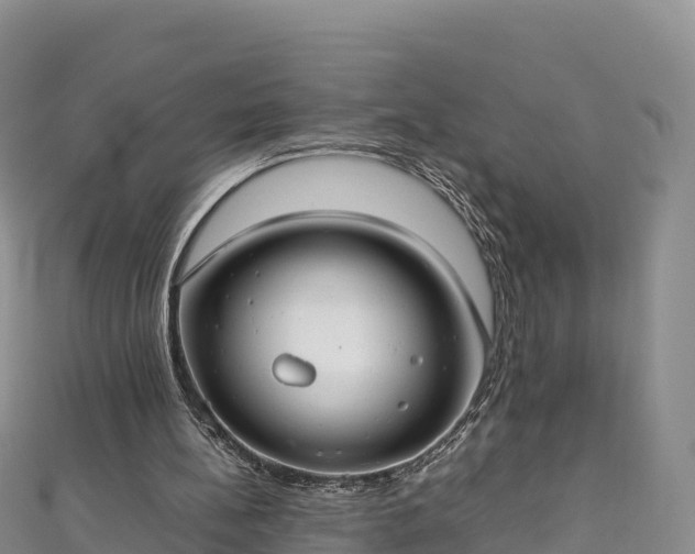 X0000111190148200907081303