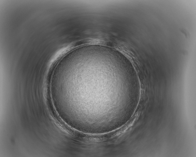 X0000111190149200907081303