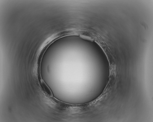 X0000111190150200907081303