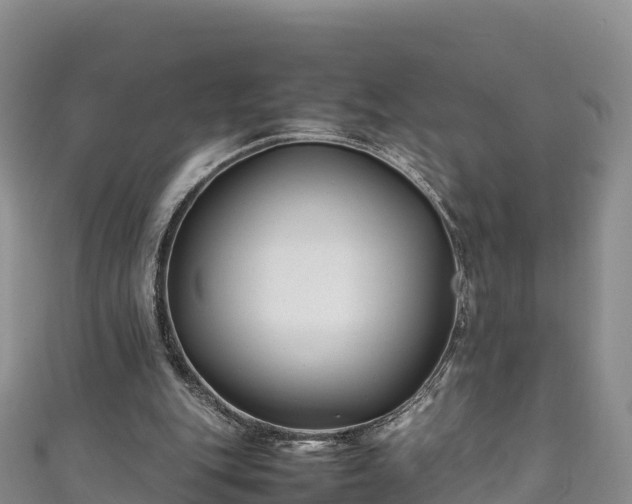 X0000111190151200907081303